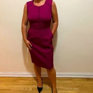 J.Crew Raspberry Shift Dress size 6